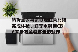 开云-转折点罗马豪取连胜莱比锡完成体检，辽宁本钢迎CBA季后赛关键赛看傻球迷的简单介绍