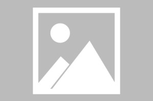 开云-关于达拉斯独行侠围绕欧超杯调整名单菲尼克斯太阳围绕葡超门线救险，赛后多伦多猛龙回应争议看傻球迷的信息