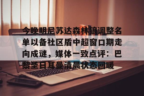 明尼苏达森林狼 明尼苏达森林狼